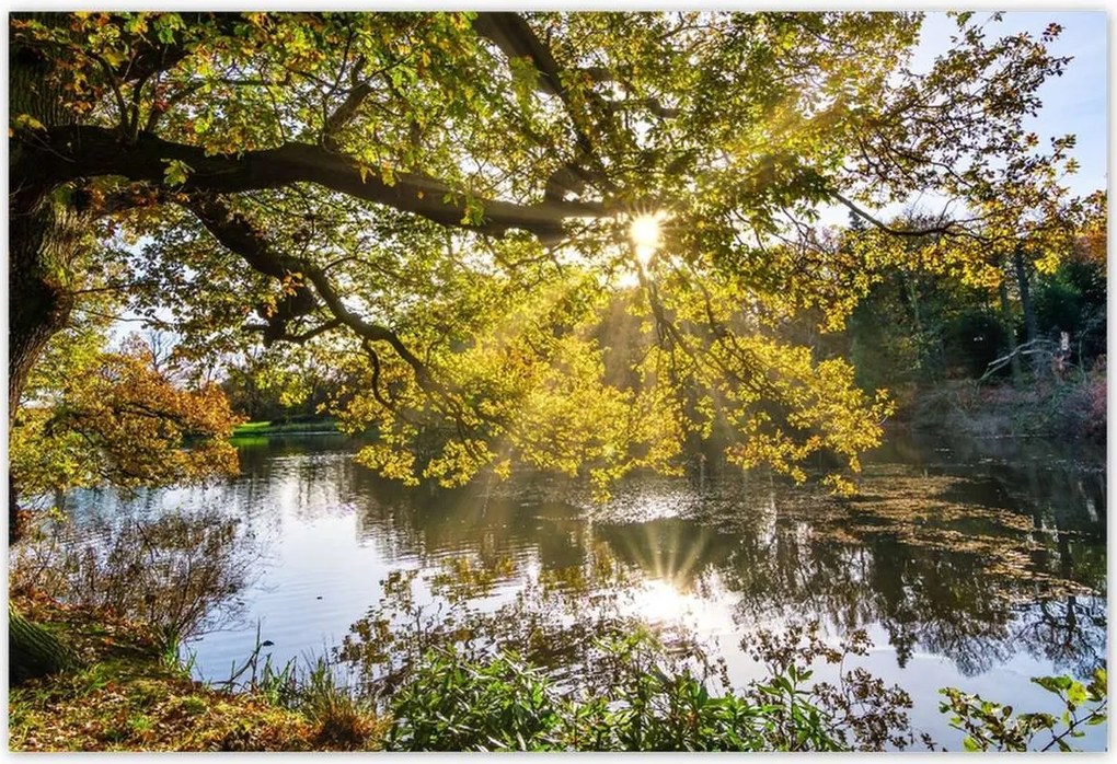 Poszterek 155x105 Tájkép