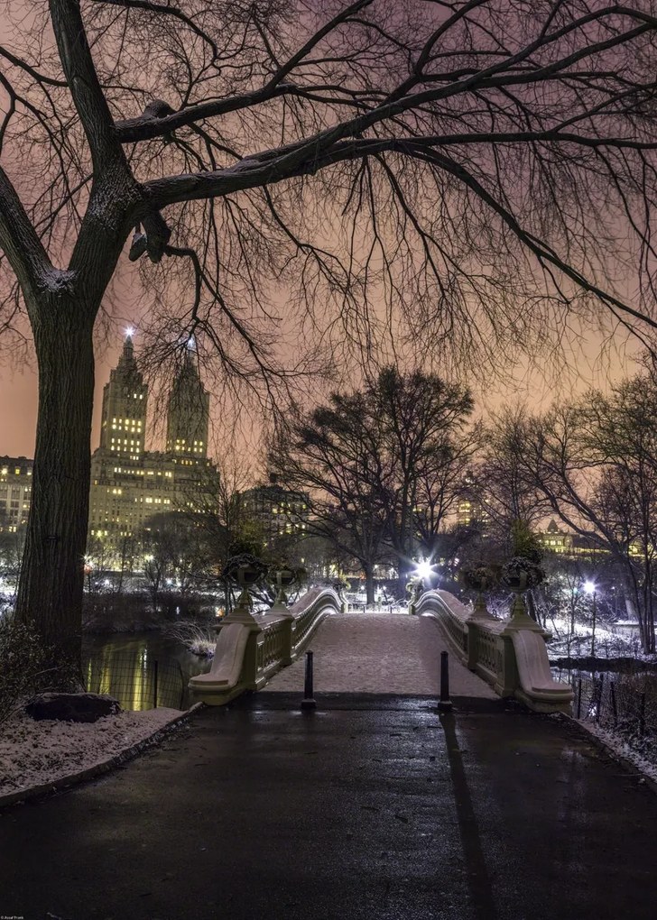 Poszter 50x70cm Esti kilátás a Central Parkra, Assaf Frank