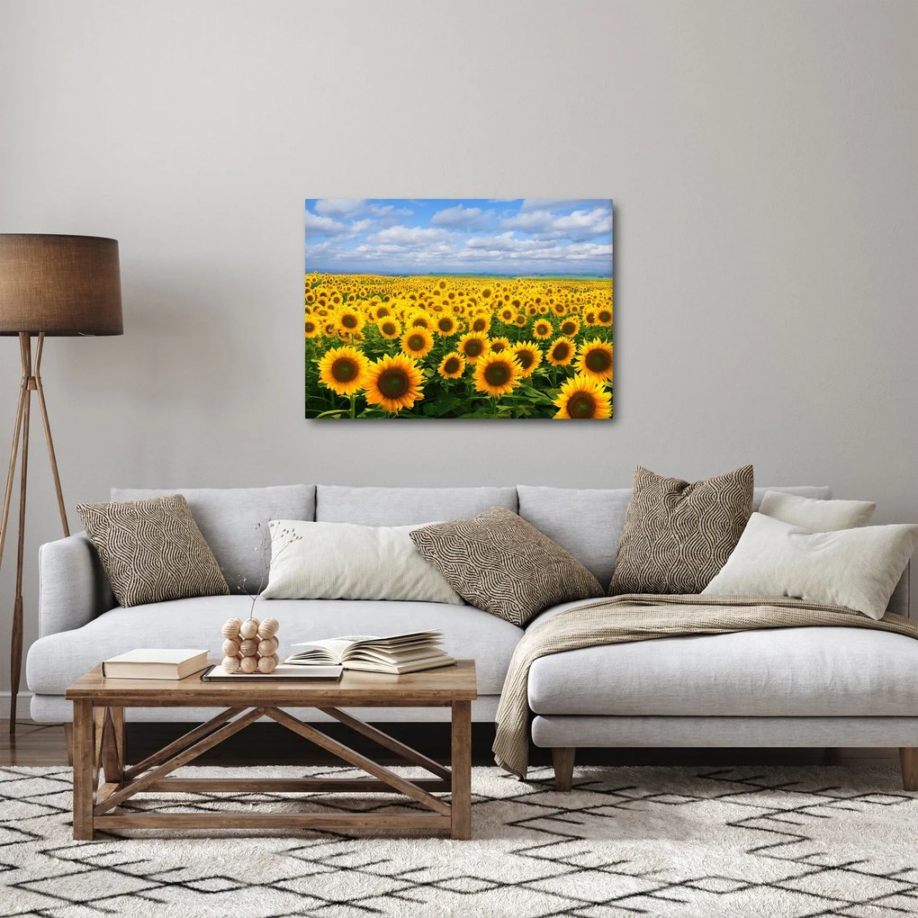 A napraforgó mező képe (70x50 cm)