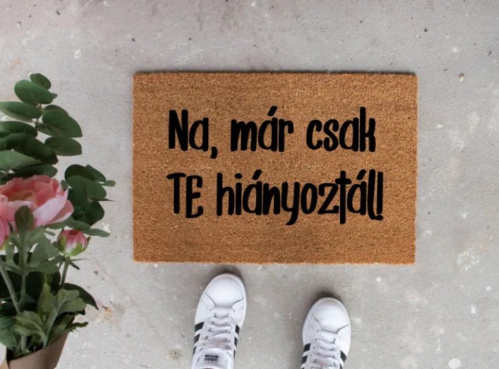 Na már csak TE hiányoztál! vicces feliratos kókusz lábtörlő - több méretben (Válassz méretet: 60*40 cm, Válassz szállítási opciót: Extra szállítást ké