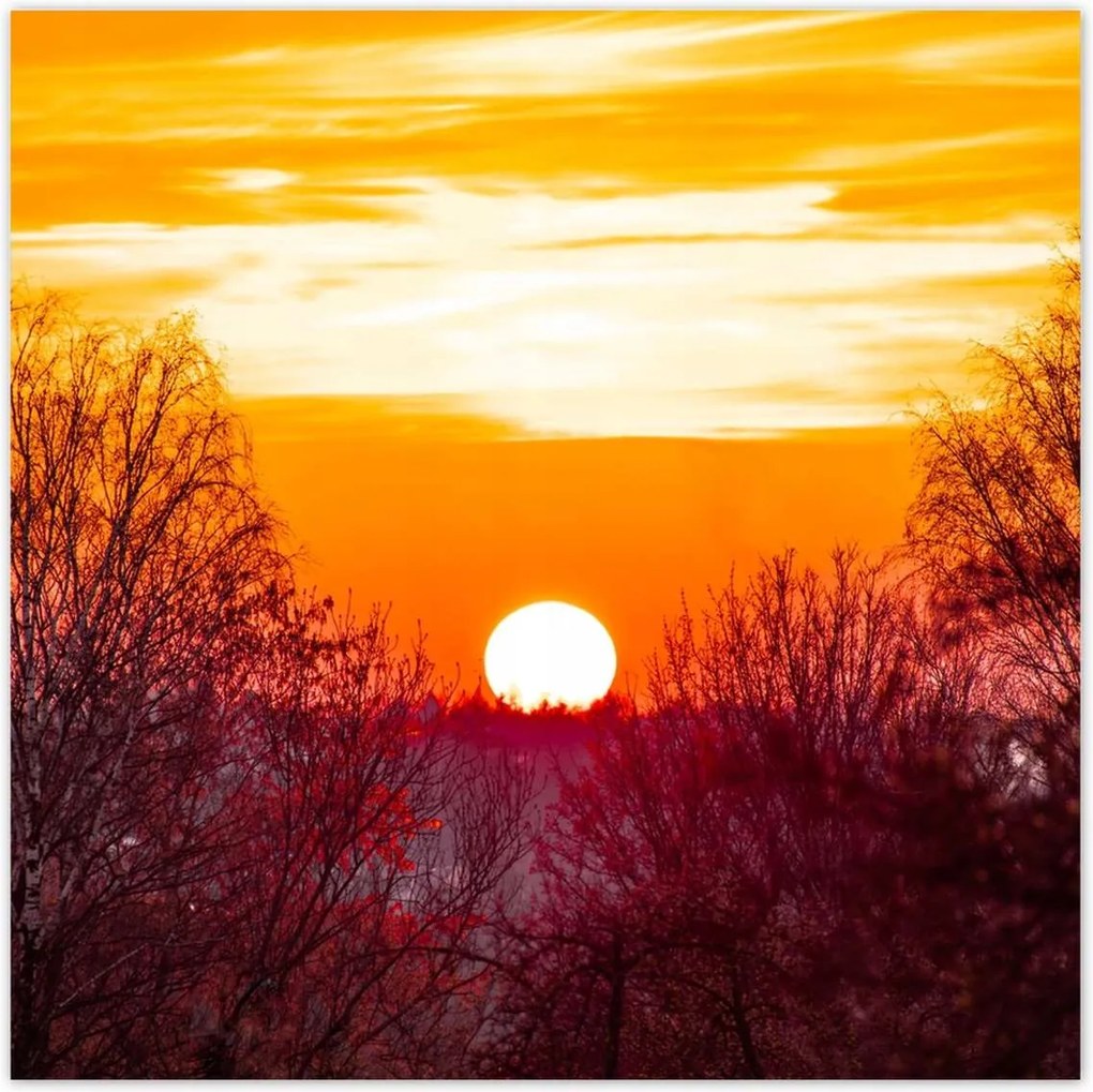 Poszterek 140x140 Kilátás Tájkép