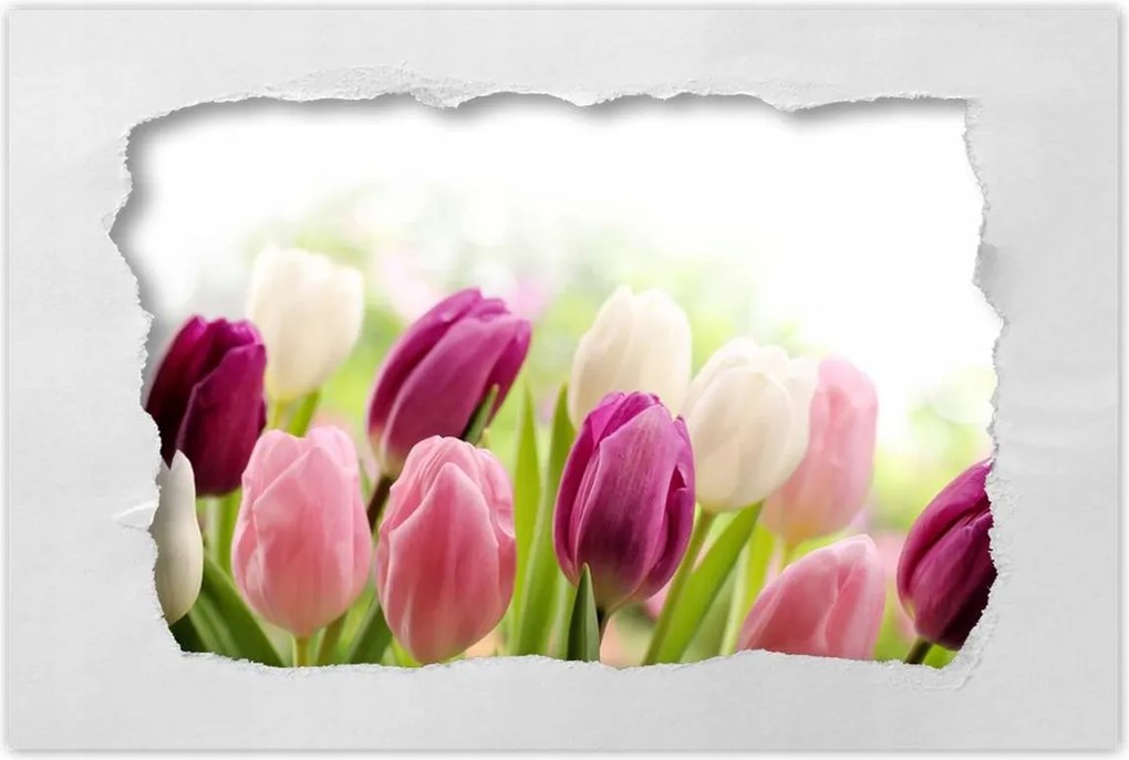 Poszterek 90x60 Gyönyörű tulipánok