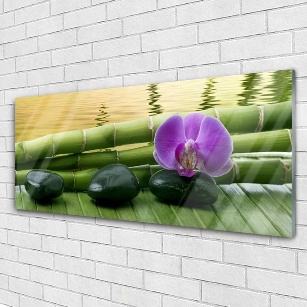 Akrilüveg fotó Virág Stones Bamboo Nature 100x50 cm