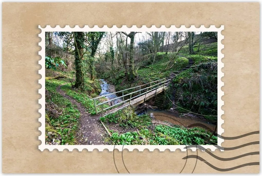 Poszterek 60x40 Híd a parkban