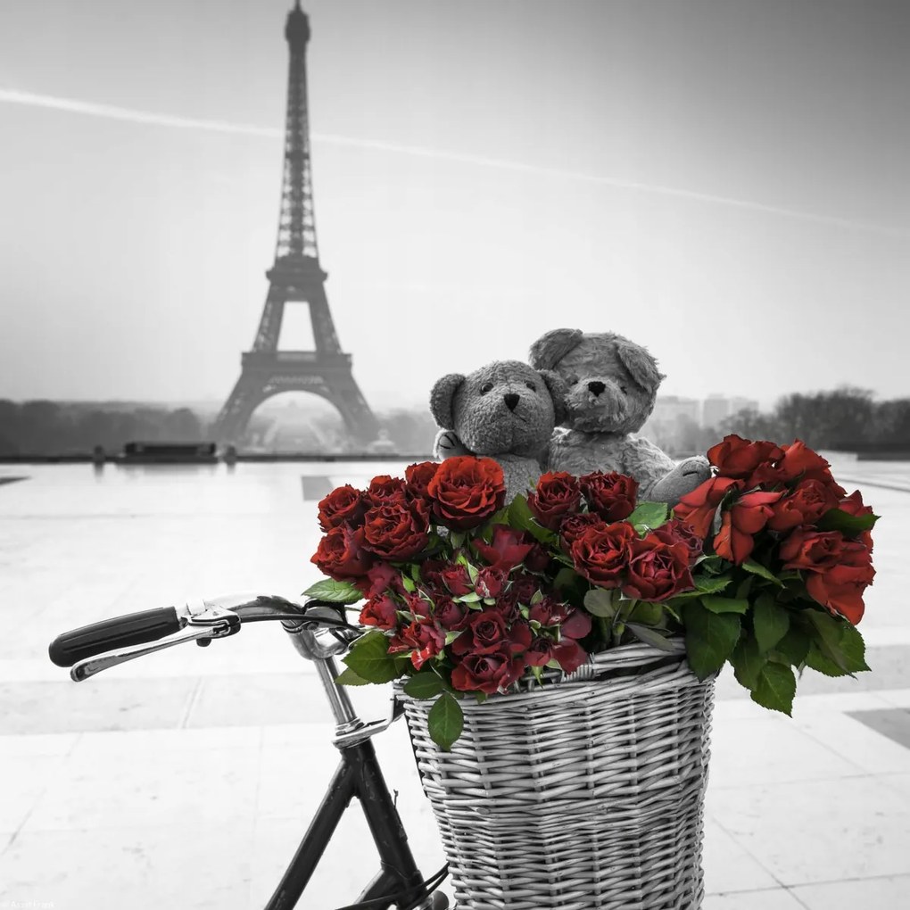 Poszter 30x30cm Macik és egy csokor vörös rózsa kerékpáron az Eiffel-toronnyal