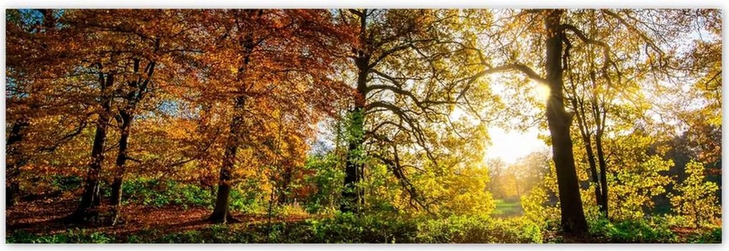 Poszterek 200x66 Tájkép