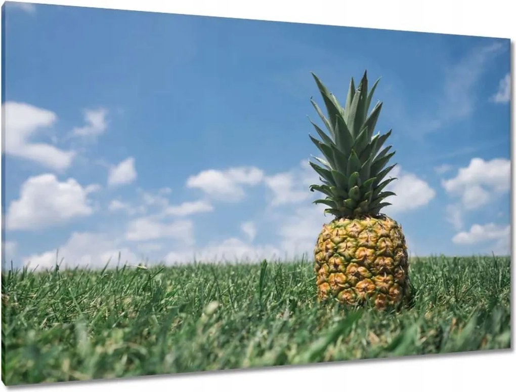 Festmények 120x80 Ananász tájkép