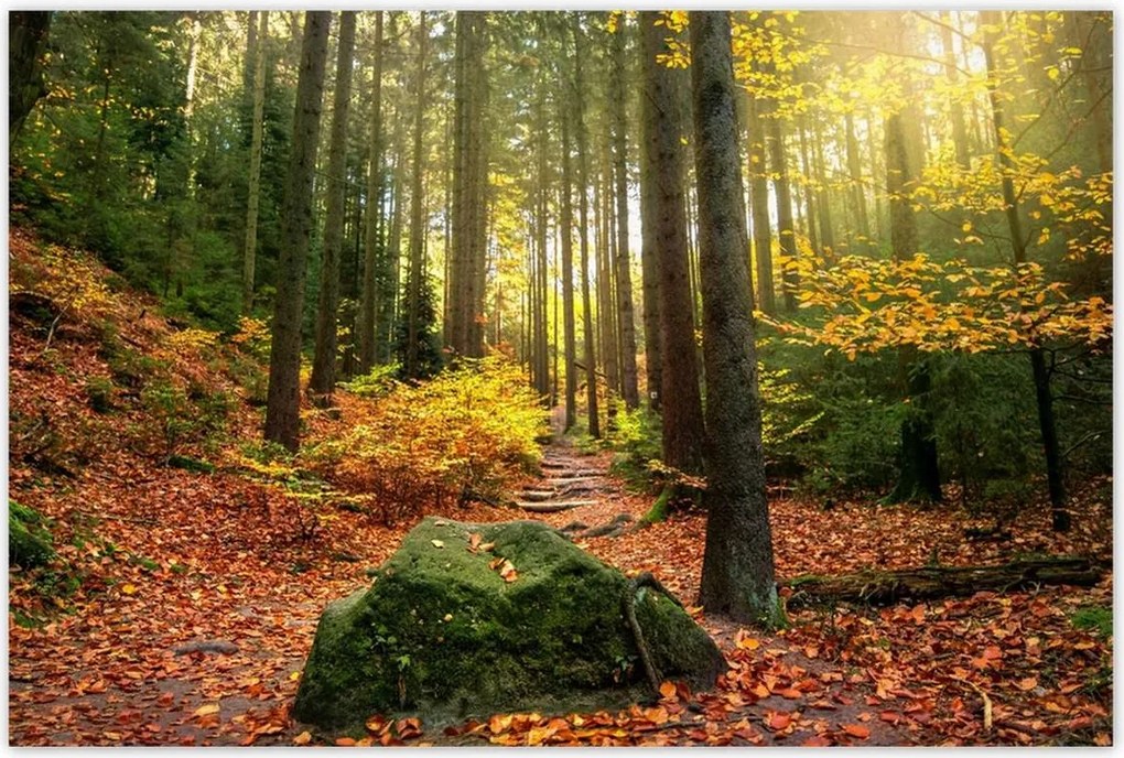 Poszterek 120x80 Tájkép