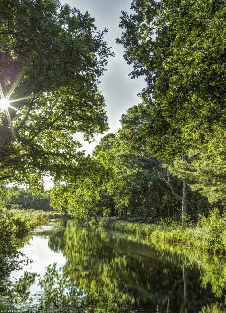 Poszter 20,5x28,4cm Basingstoke csatorna vidéken 2, Assaf Frank