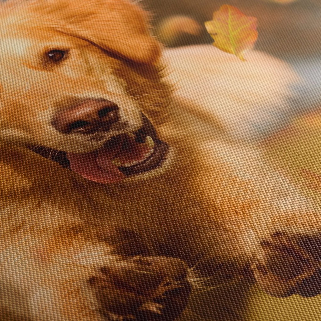 Kép - Golden Retriever (órával) (90x30 cm)