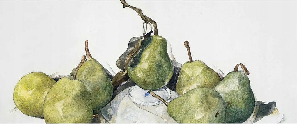 Divatos 3D fali tapéta Körte akvarell 250x104 ragasztóval