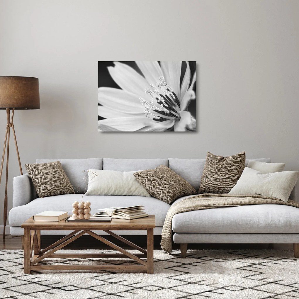Üveg kép - Fekete-fehér virág (70x50 cm)