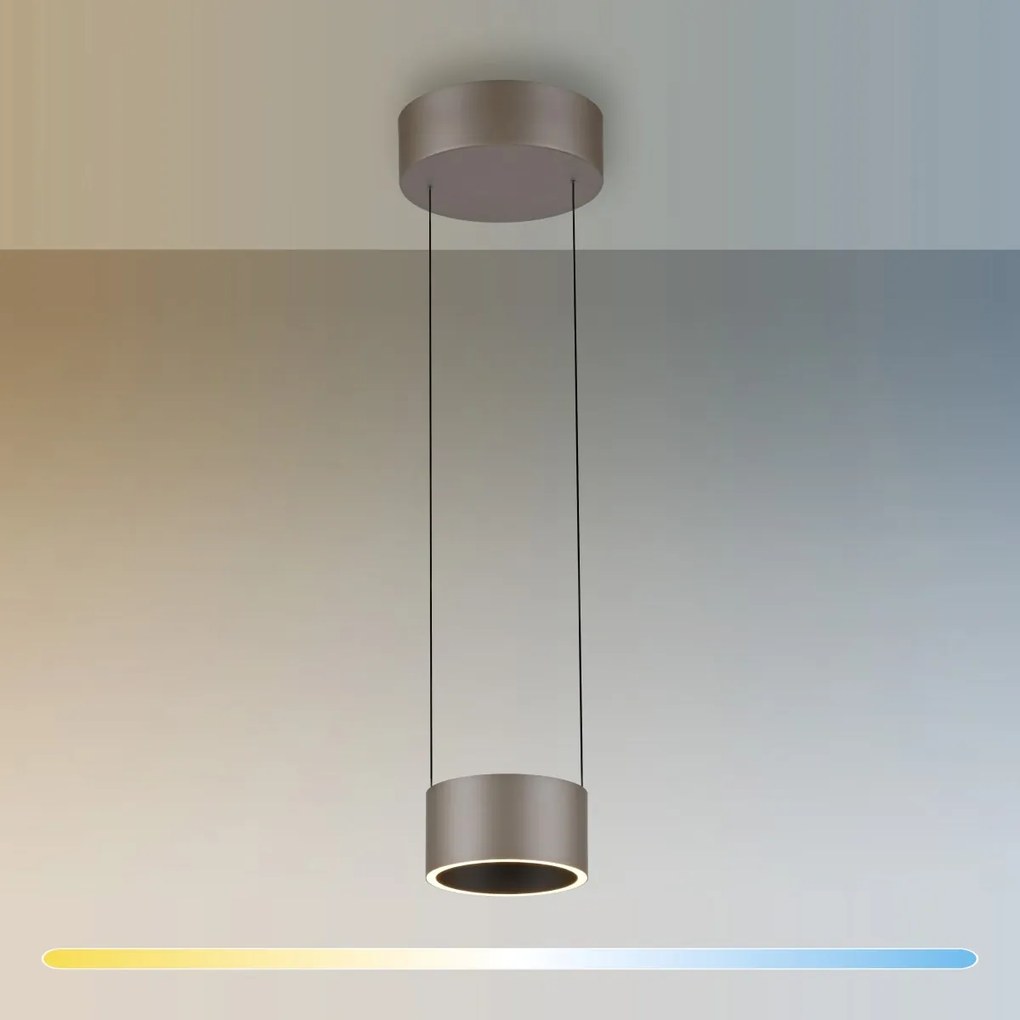 Paul Neuhaus modern függeszték pure clipse barna pln2471-97