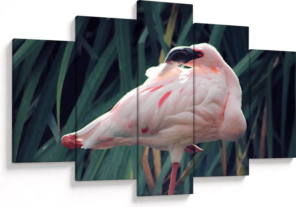Kép - Flamingó (150x105 cm)