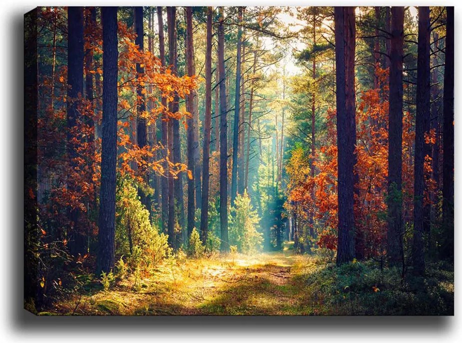 Kanvas vászonkép, 50×70 cm – TR529TCR1376
