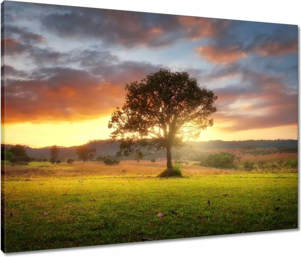 Vászonkép 80x60 Varázslatos tájkép