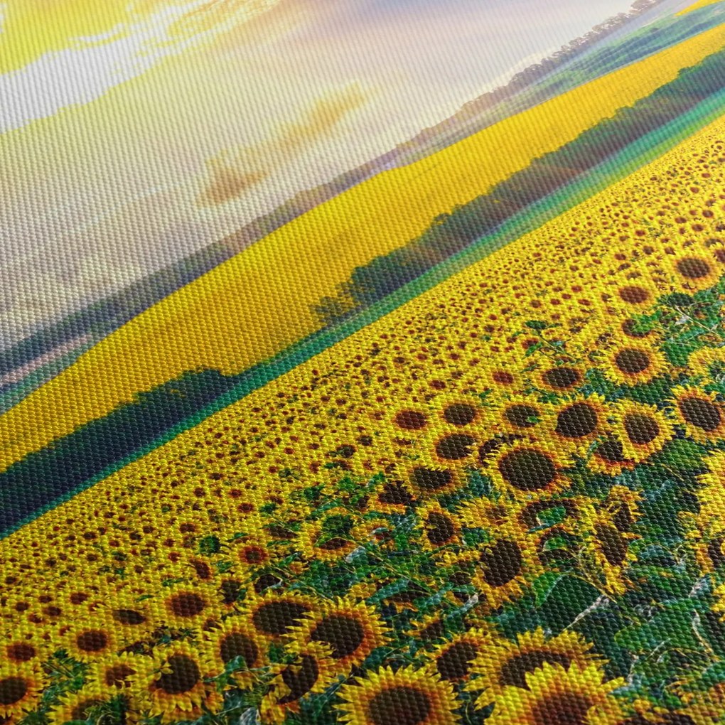 Kép - Napraforgó mező (órával) (90x30 cm)