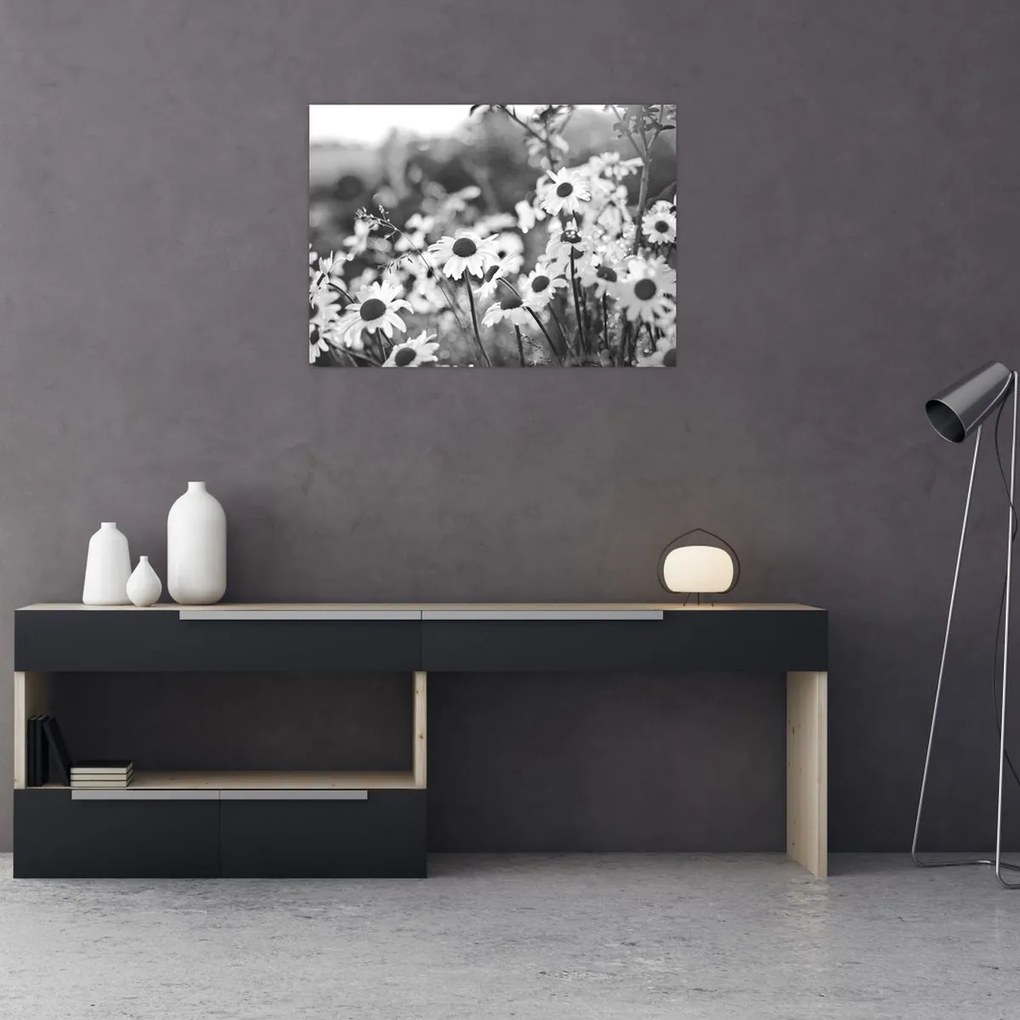 Kép - Százszorszépek (70x50 cm)