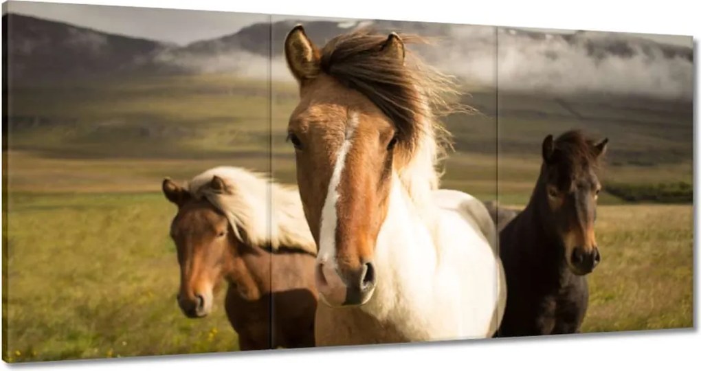 Vászonkép 60x30 Vad lovak