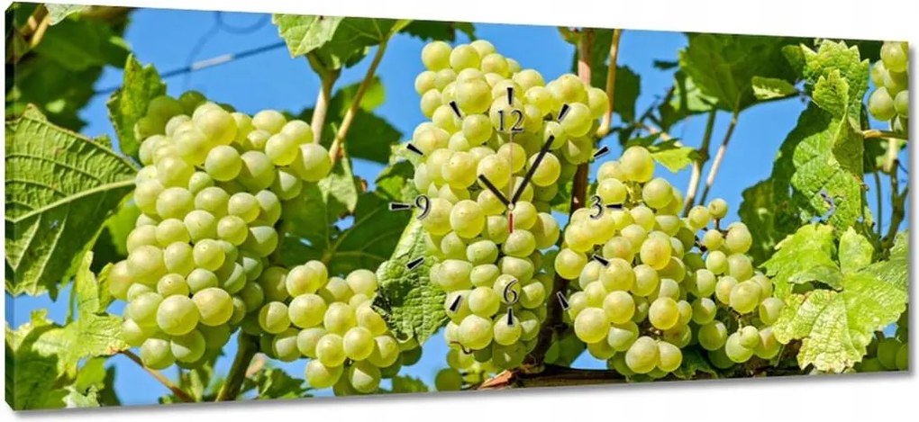 Órák 100x40 Zöld szőlő
