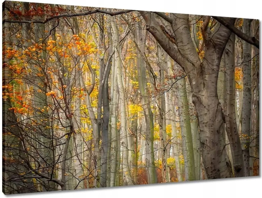 Vászonkép 90x60 Tájkép Látvány