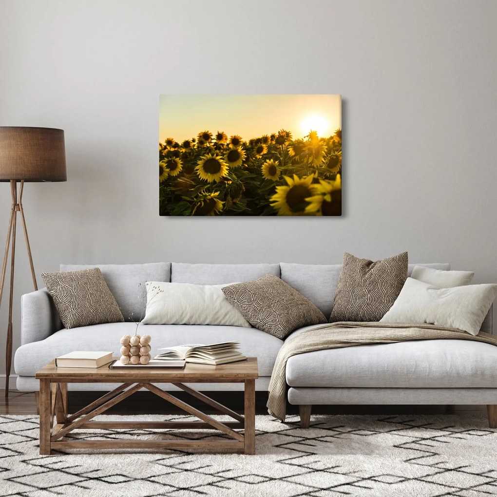 A napraforgó mező képe (90x60 cm)
