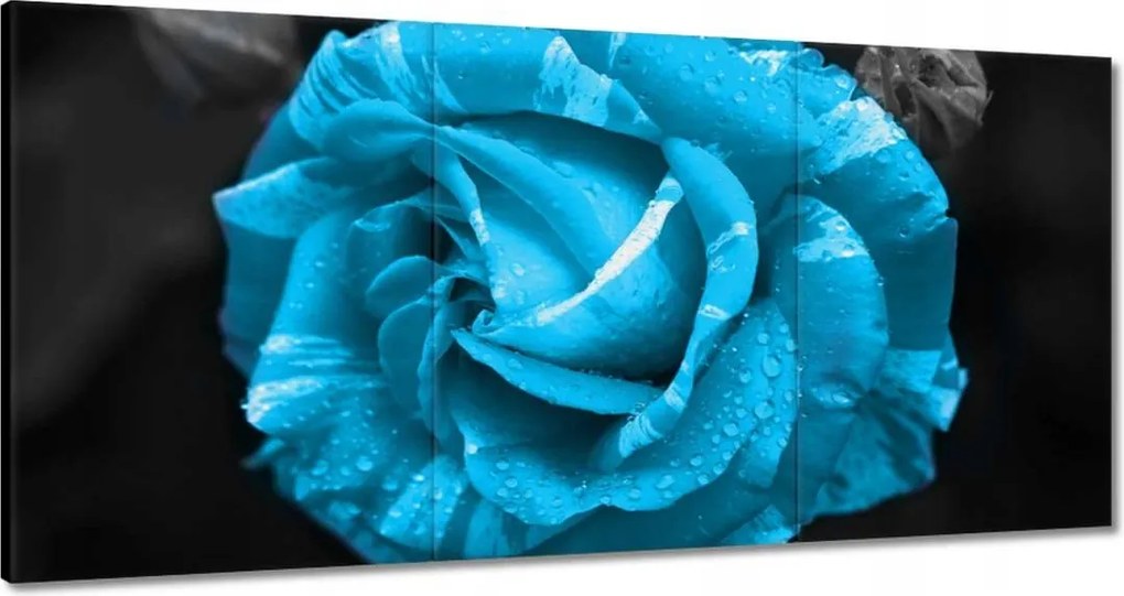 Vászonkép 180x90 Türkiz rózsa Virág