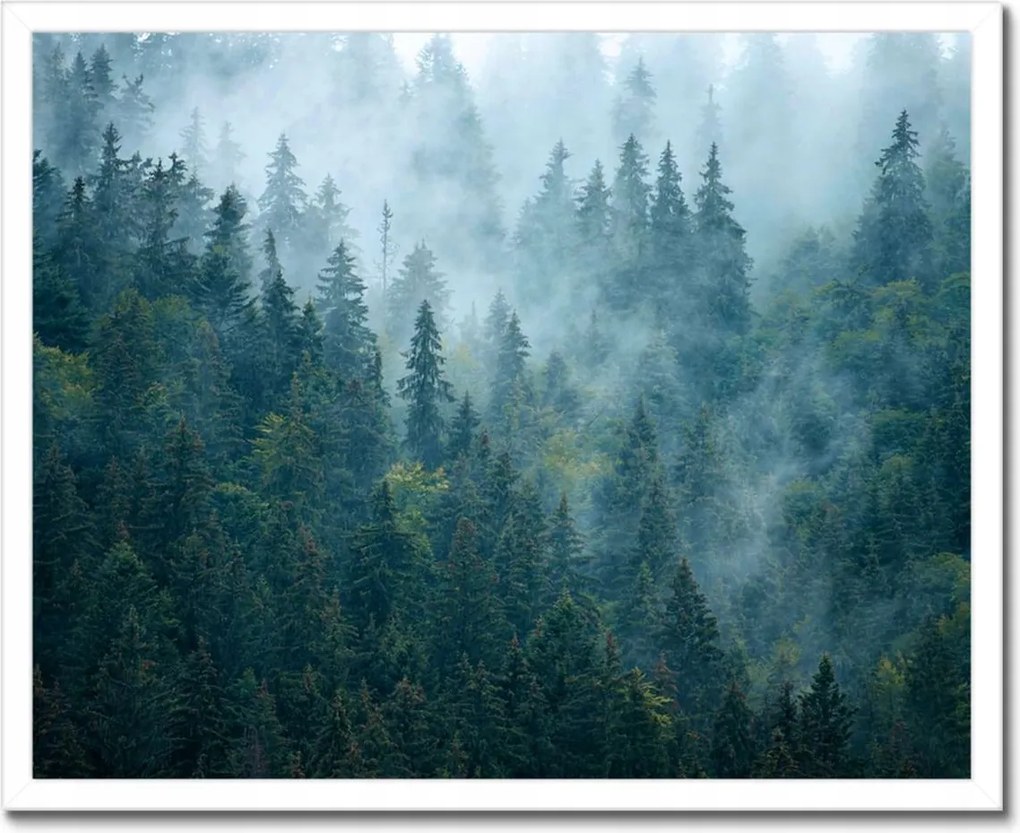 Poszter fehér keretben 50x40 Erdő a ködben Utazás