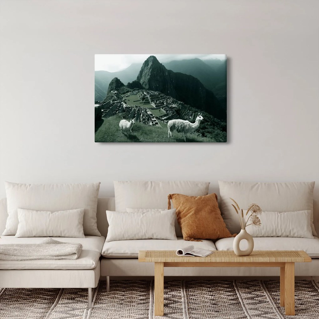 Kép - Lámák a perui Machu Picchunál (90x60 cm)