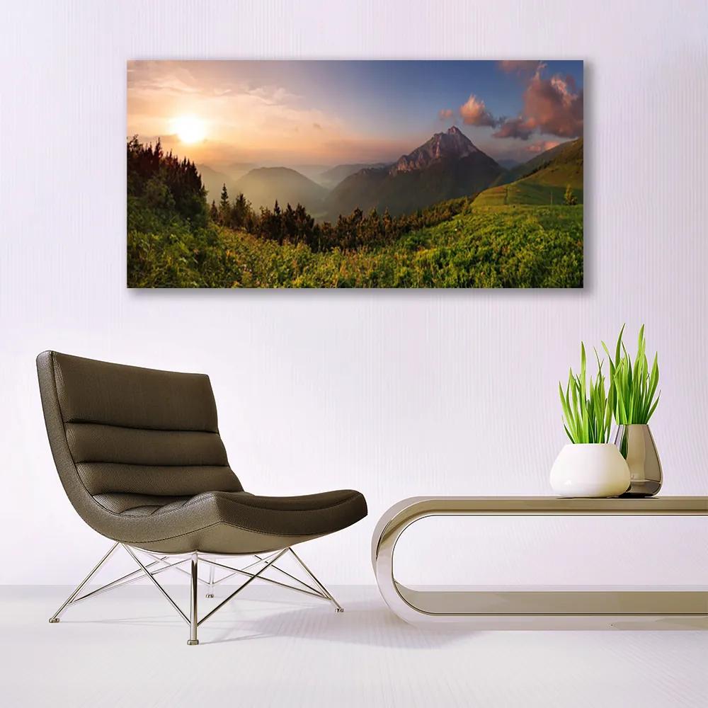 Vászonkép falra Mount Forest Nature 120x60 cm
