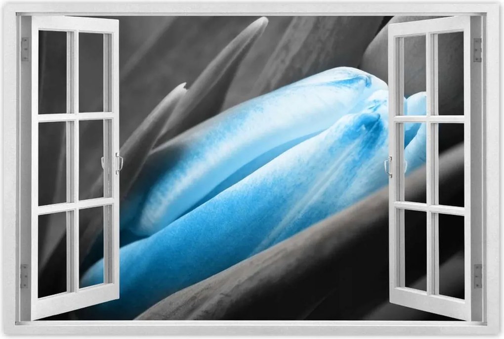 Poszterek 120x80 Kék szirmok Tulipán