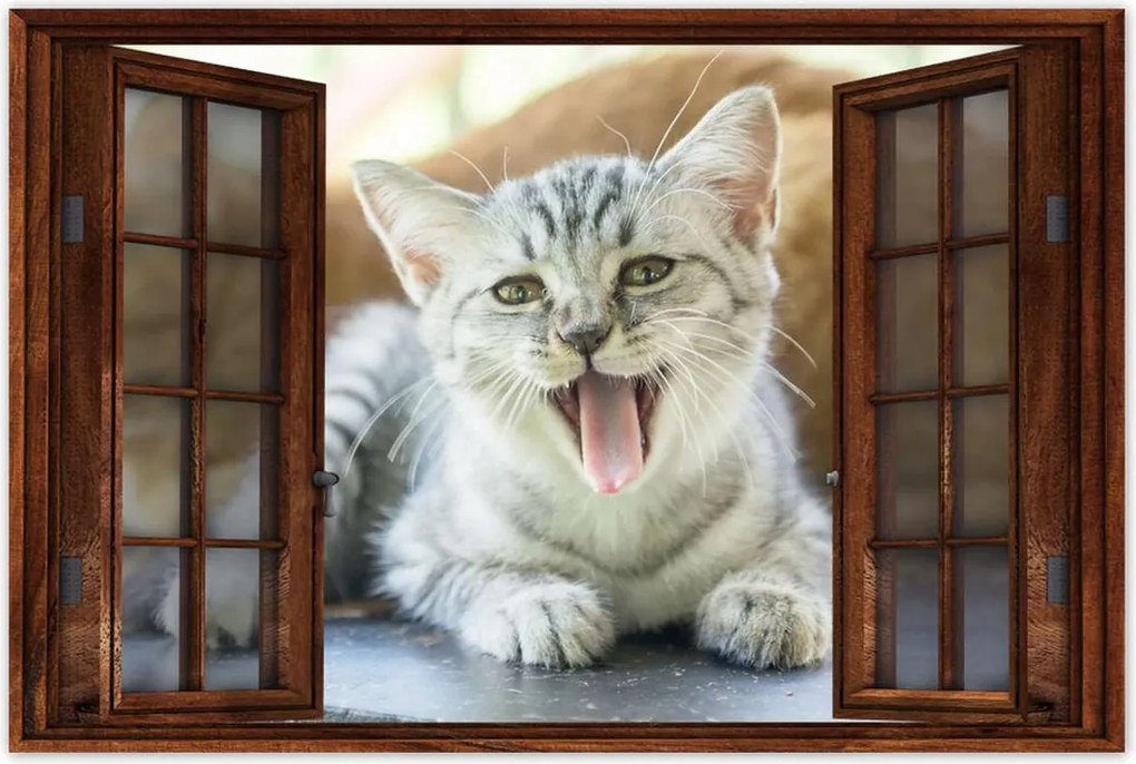 Poszterek 120x80 Cica Cicák Macskák