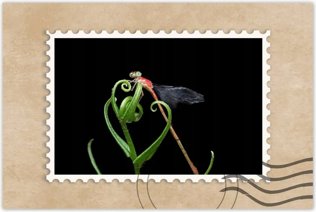 Poszterek 120x80 Szitakötő zöld levélen