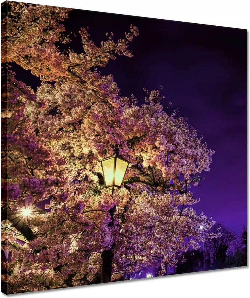 Vászonkép 40x40 Éjszakai motívum a nappaliba