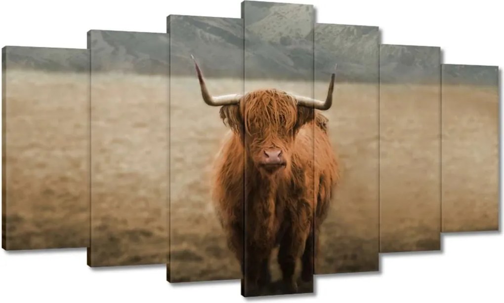 Képek 140x80 Mint Szarvasmarha Szarvak