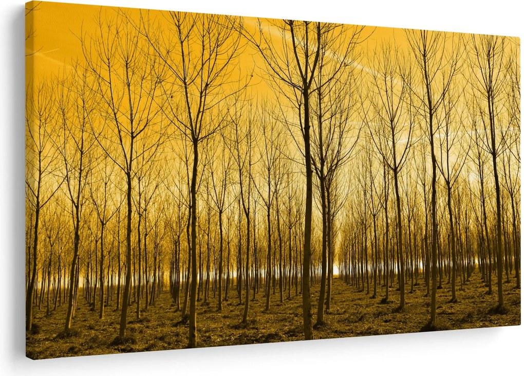 Egy erdő naplementekor képe (90x60 cm)