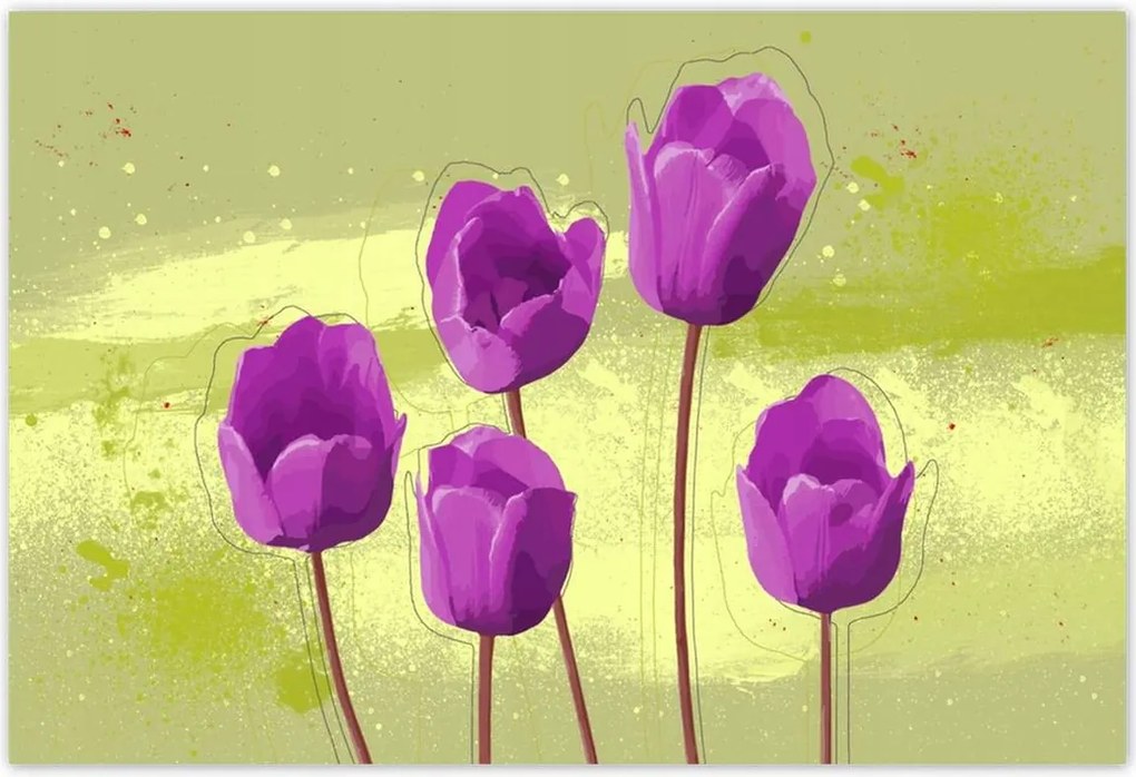 Poszterek 155x105 Pipacsok Modern grafika