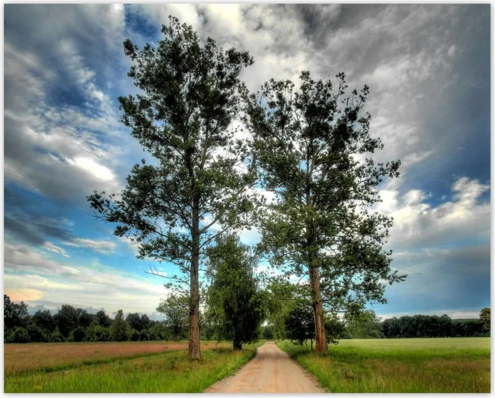 Poszterek 50x40 Vidéki út