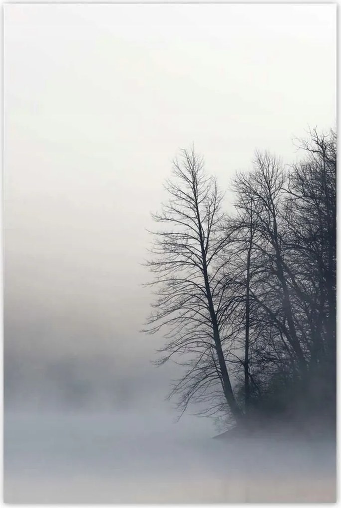 Poszterek 80x120 Ködös erdő Tél