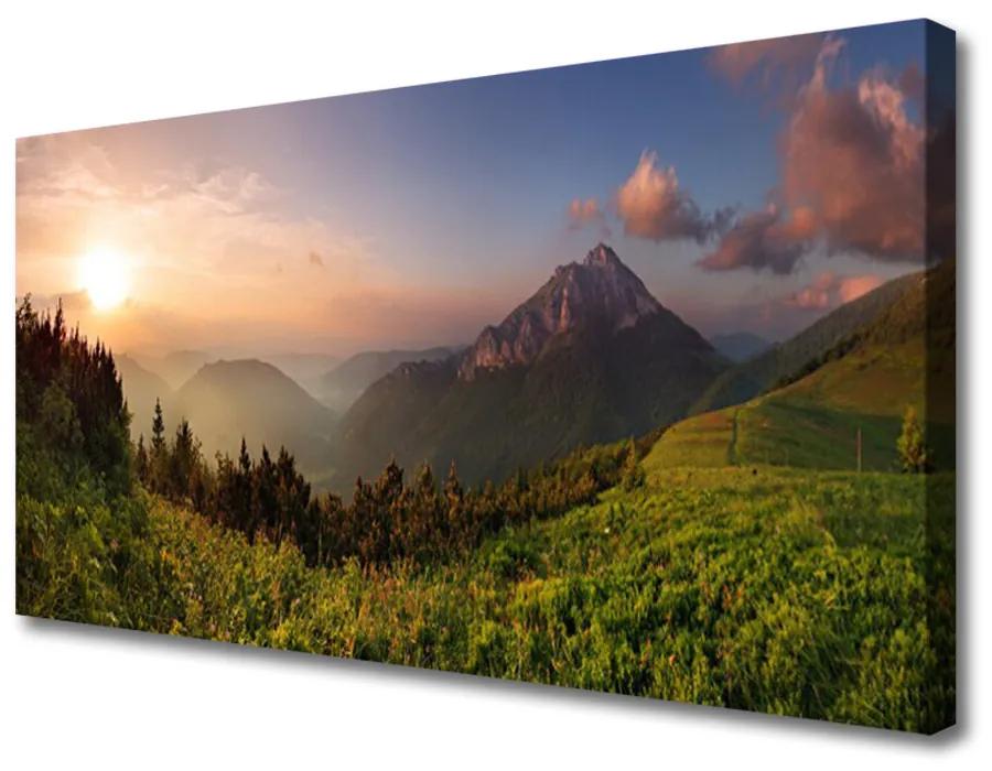 Vászonkép falra Mount Forest Nature 125x50 cm