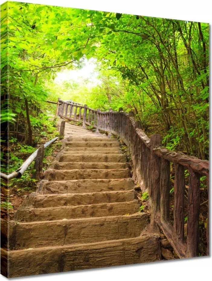 Vászonkép 40x50 Lépcsők az erdőbe