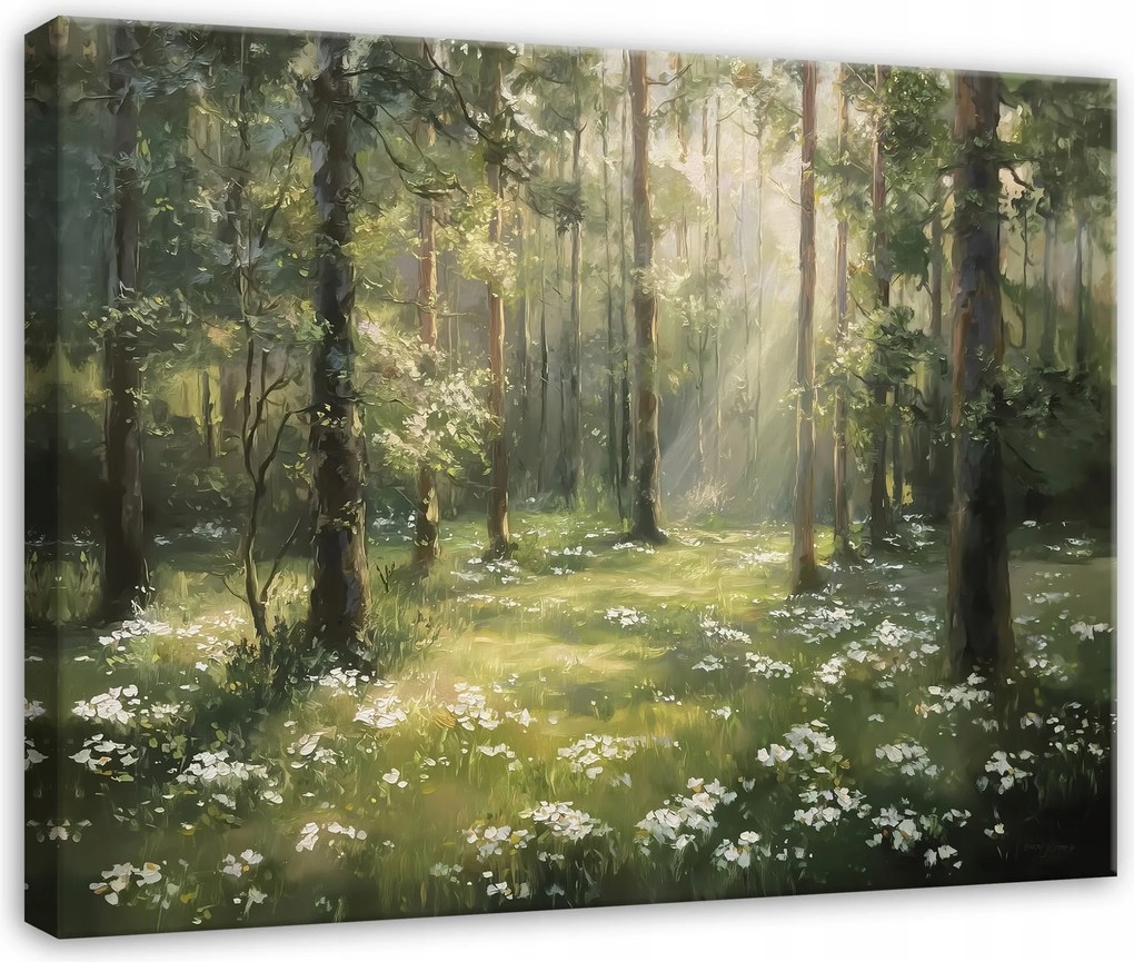 Vászonkép Erdő Fák Természet Tájkép Hálószoba Nappali Konyha Vászon 60x40