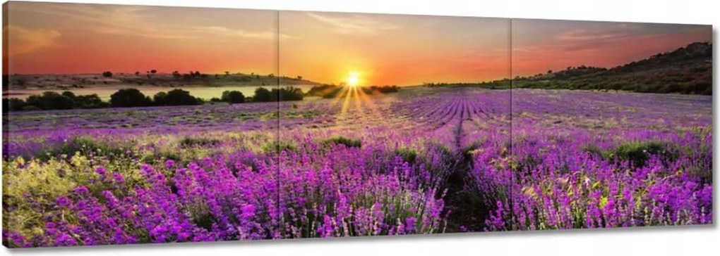 Vászonkép 90x30 Levendulamező Nyugat