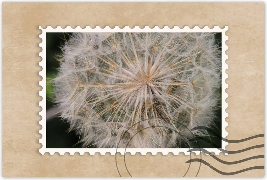 Poszterek 120x80 Pitypang Virág Virágok