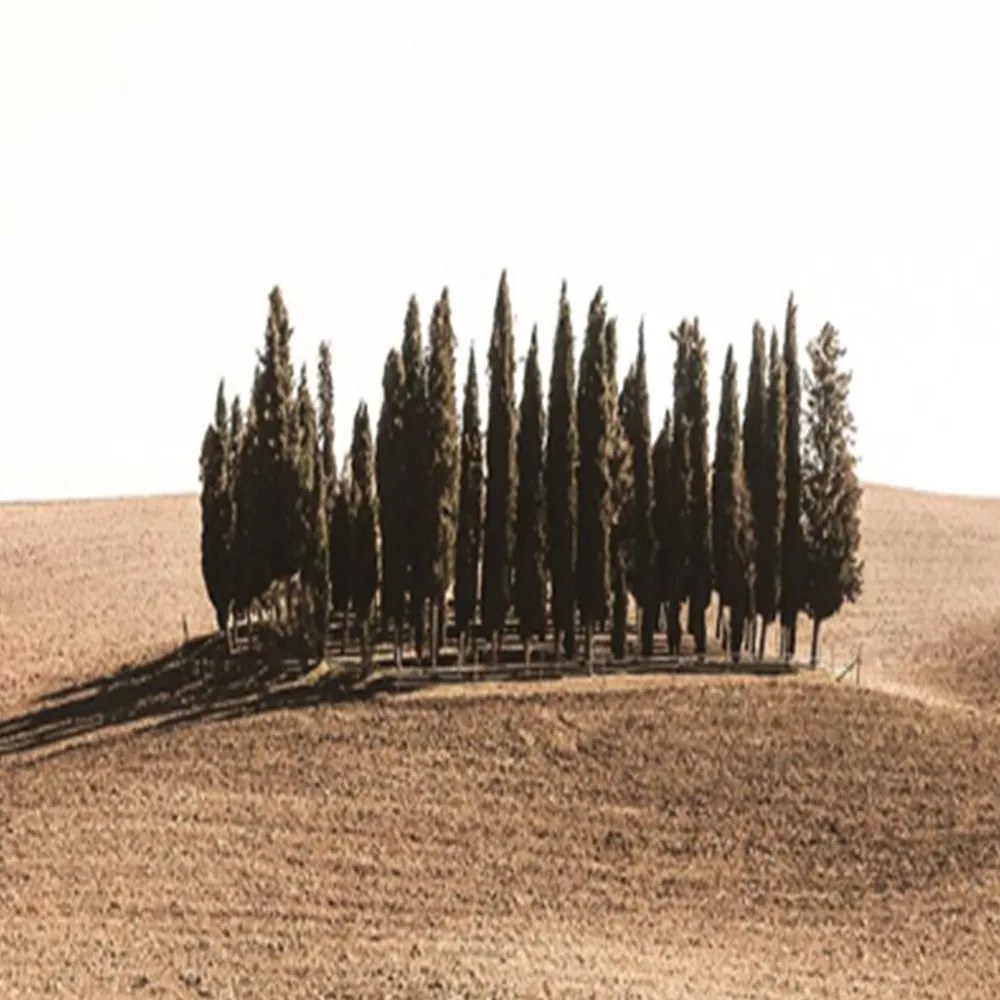 Gario Paraván Toscana Méret: 145 x 170 cm, Kivitelezés: Forgó paraván 360°