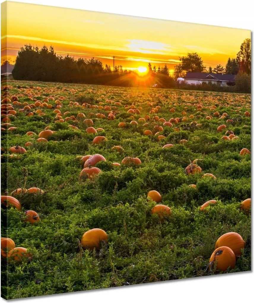 Vászonkép 40x40 Tájkép Látvány