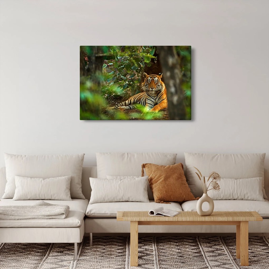 Pihenő tigris képe (90x60 cm)