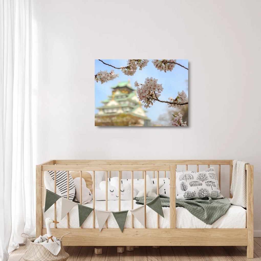Üveg kép - Sakura (70x50 cm)
