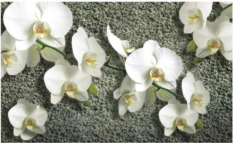 Fotótapéta orchideák virágok fotótapéta 312 x 219