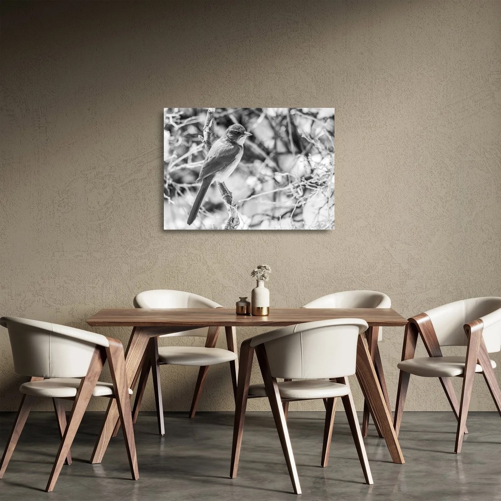 Üveg kép - Kék madár télen (70x50 cm)